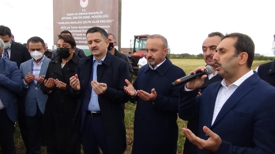 Bakan Pakdemirli damla sulamayla yetiştirilen çeltik hasadına katıldı