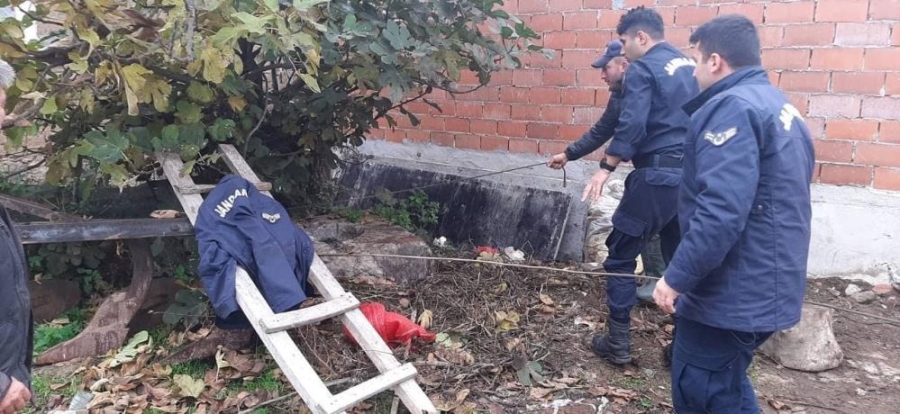 Kuyuya düşen köpeği jandarma kurtardı