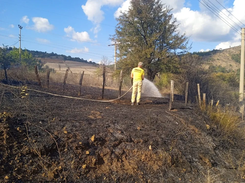 Çan’da örtü yangını kontrol altına alındı