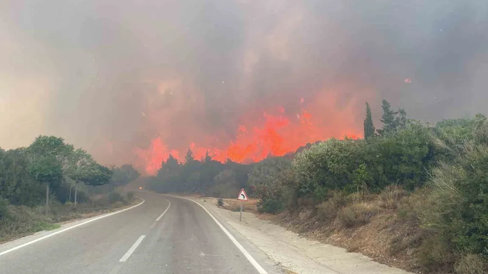 Ormanlara giriş yasağı 30 Kasım’a kadar uzatıldı