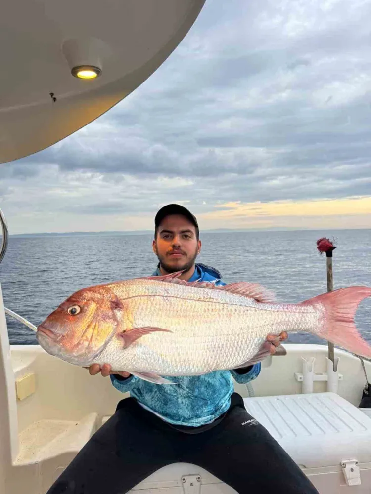 Balıkçılar 12 Kilogramlık Mercan Balığı Yakaladı