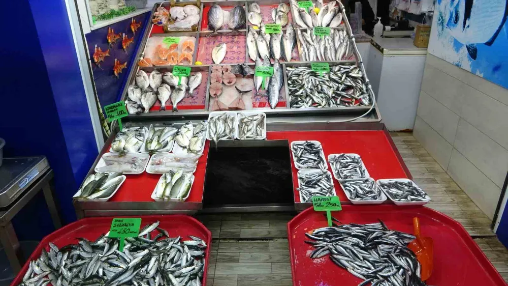 Hamsi Denizlerde Yüzünü Gösterdi Tezgahlarda Fiyatını Korudu