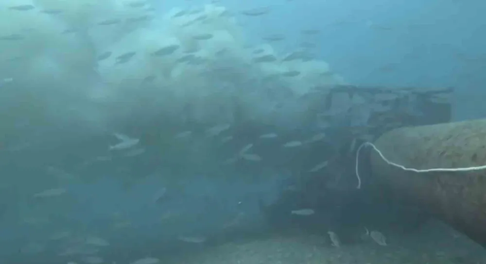 Boğaza Dökülen Atık Su İle Karşılaşan Dalgıç, O Anları Su Altı Kamerasıyla Kaydetti