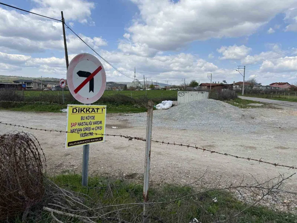 Bir Köye Daha Şap Karantinası