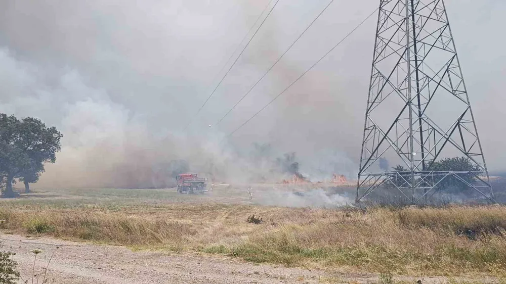 Tarım Arazisinde Yangın Çıktı