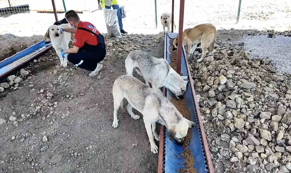 Sahipsiz Hayvanlar İçin Bakımevi ve Doğal Yaşam Alanı Açıldı