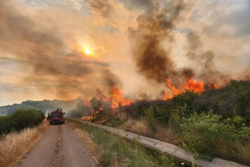 Orman Yangınını Çıkarma Şüphesiyle Gözaltına Alınan 4 Şüpheli Salındı