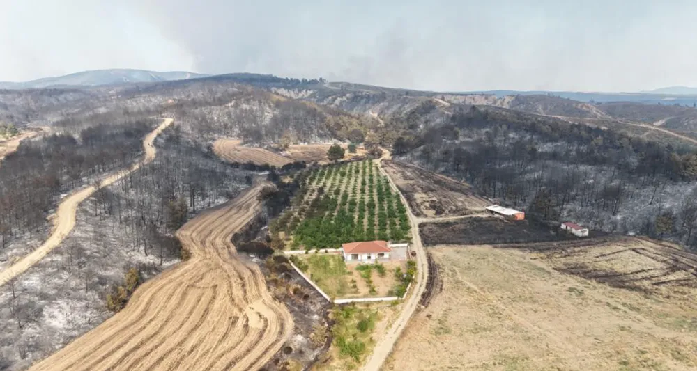Gelibolu Yangınında Herkesin Yüreğini Ferahlatan Görüntü