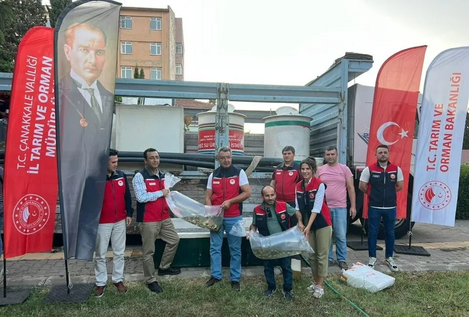 Baraj ve Göletlere 2 Milyon Aynalı Sazan Yavrusu Bırakıldı
