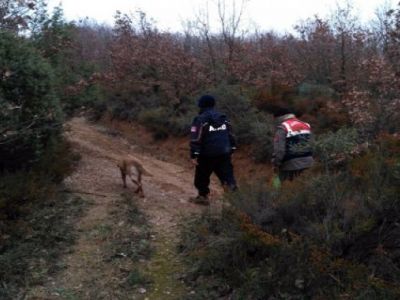 Çan?da Mantar toplarken  kaybolan Yaşlı kadın bulundu